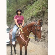 HORSE RIDING