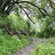 WALKING IN THE HILLS